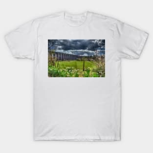 Digswell Viaduct T-Shirt